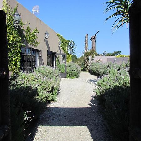 Plett River Lodge Plettenberg Bay Exterior foto