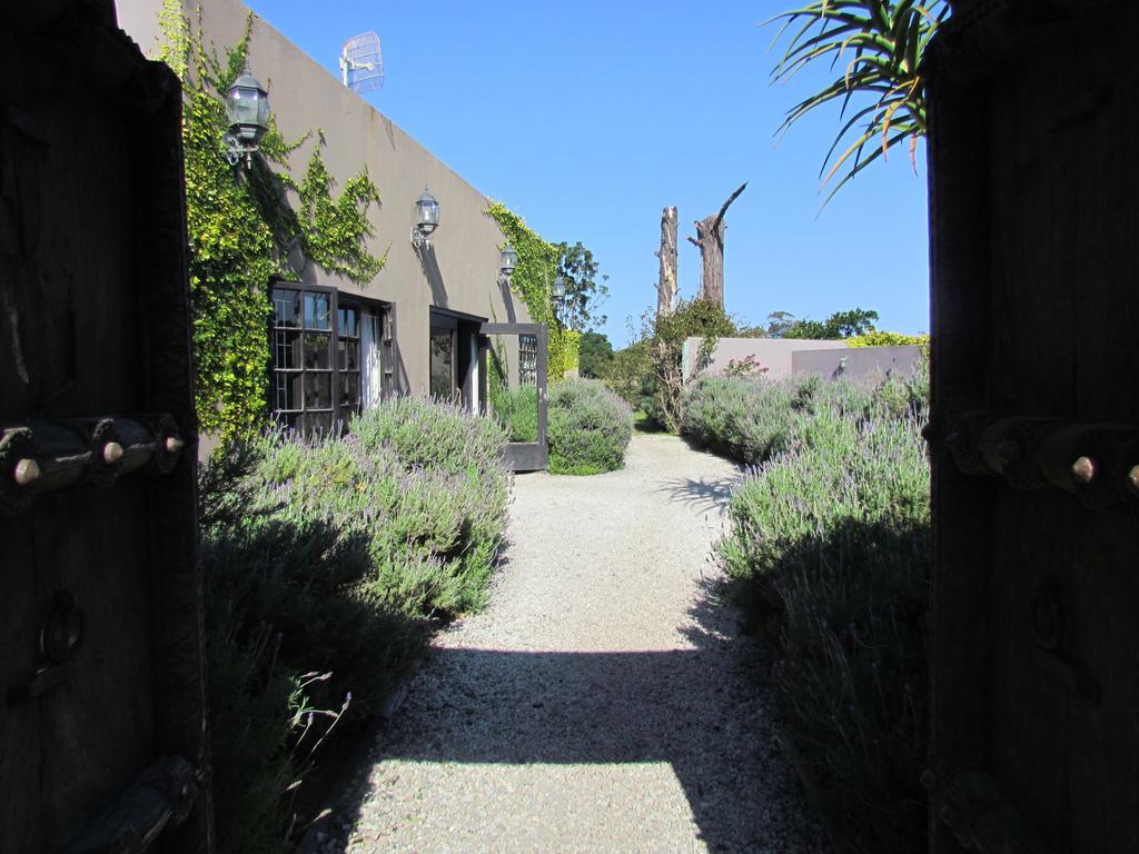 Plett River Lodge Plettenberg Bay Exterior foto